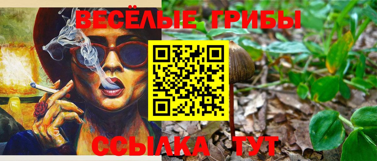 Псилоцибиновые грибы Psilocybe Магадан